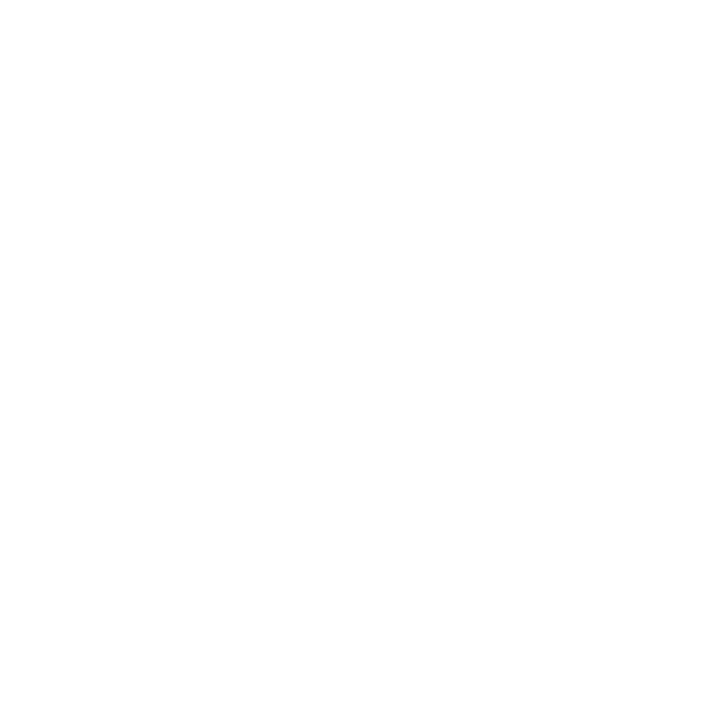 Nisan Lamden | Activism